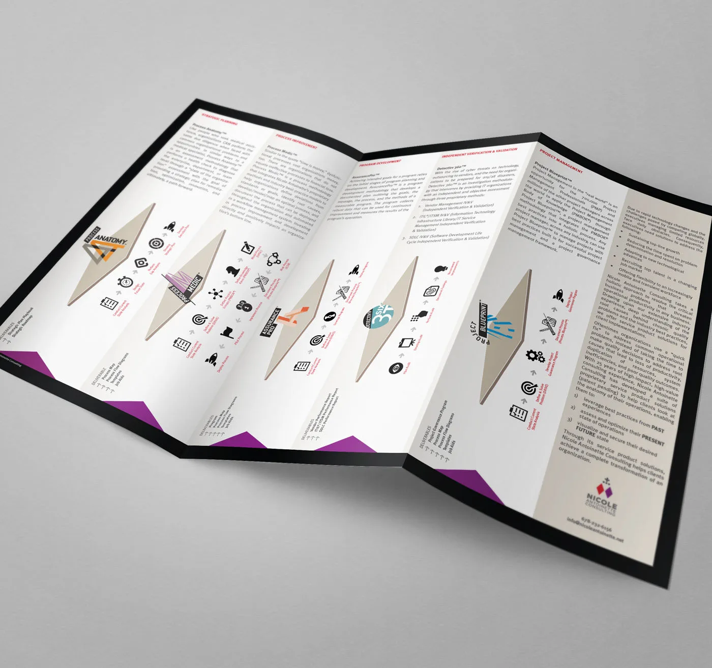 Nicole Antoinette Consulting tri-fold brochure inside design